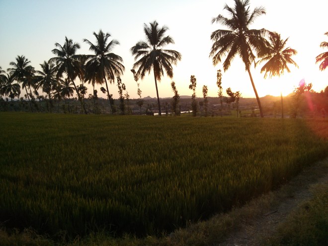 Evening at Shanti hotel - 2