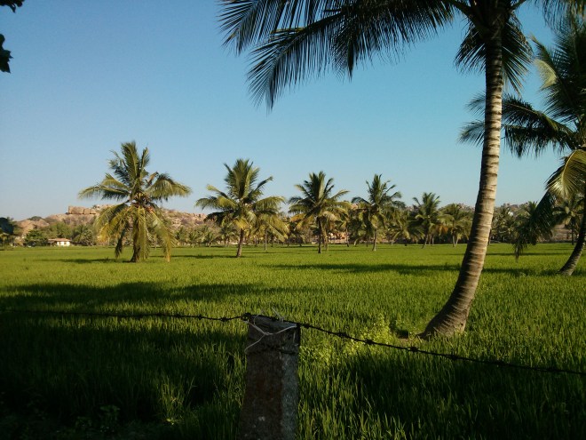 On the way to the hotel